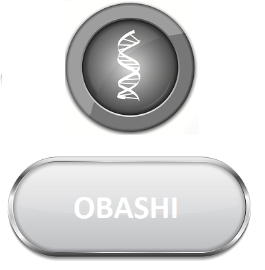 Obashi category